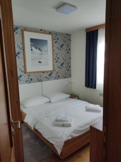 Vila Borova Apartman Rajin - Zlatibor - 3
