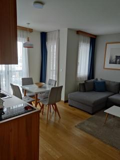 Vila Borova Apartman Rajin - Zlatibor - 2