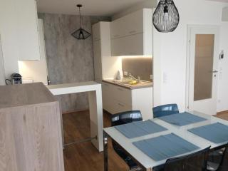 Vienna Belvedere und Hauptbahnhof Apartment - Vienna - 4