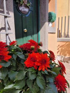 Le Mole B&B - Marino - 9