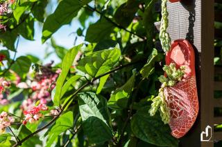 Casa térrea, aconchego e praticidade - 2