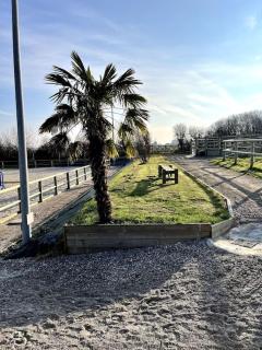 Le Haras proche de Wimereux et Wissant - Beuvrequen - 8