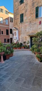 Little Parasio - Imperia - 5