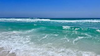 Mainsail 278 - Destin - 2