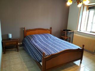 Gîte le grand bois - Feins-en-Gâtinais - 1