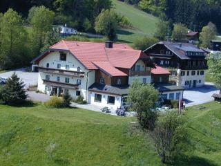 Hotel-Gasthof Am Riedl - Koppl - 4