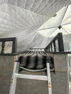 Glempings Anemones - 1