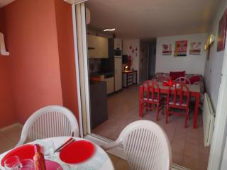 Beau T2 climatisé avec terrasse et parking privé à Sète - FR-1-472A-270 - Sète - 4