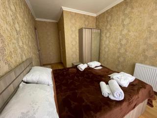 Cozy house Kazbegi - 3