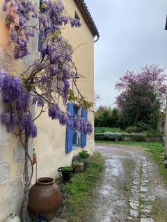 Casa Bella - Charroux-dʼAllier - 6