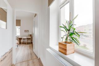 Modern, bright and spacious apartment - 8