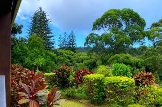 Selwyn Cottage - Burnt Pine - 3