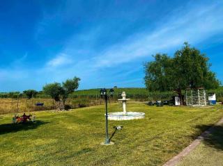 HERDADE DO CORVAL - 5