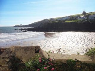 Puffin Burrow - Portmellon - 3
