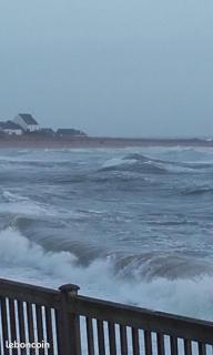 APPARTEMENT LES PIEDS DANS L'EAU - Batz-sur-Mer - 9