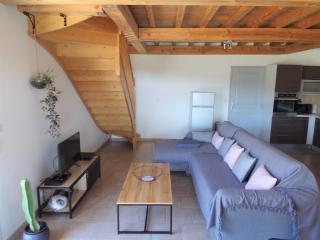 La Grand Vigne - Maison avec piscine privée - Saint-Genest-de-Bauzon - 1