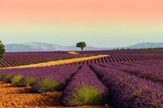 Appartement face au lac - 3
