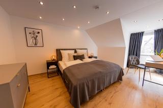 BONNYSTAY Landshut Monument - Landshut - 6