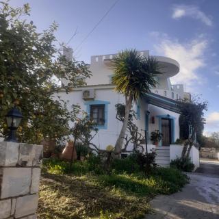 GARDEN HOUSE APARTMENT - Pitsidia - 6