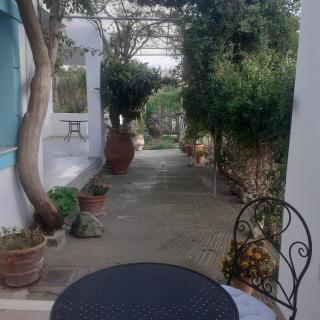 GARDEN HOUSE APARTMENT - Pitsidia - 3