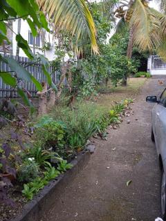 La Kaz Kika - Saint-Denis - 3