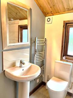 Snowdrop 13-Hot Tub-Woodlandlodges-Carmarthenshire - Carmarthen - 8