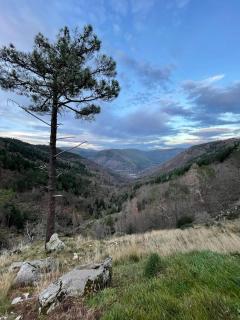 Glaciar Guest House - Manteigas - 5