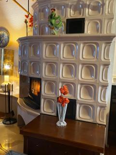 Luxurious Townhouse Petelin - Plužna - 7