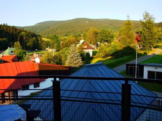 Apartmán Rokytka s balkonem - 3