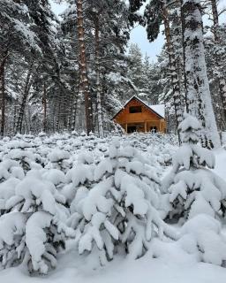 Yeghevni Rest House - 4