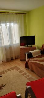 Fely Room - Petroşani - 5