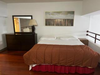 Full loft apartment near Omni Hotel - New Haven - 7