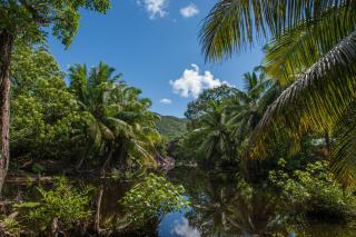 Villa Aya - Grand'Anse Praslin - 5