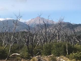Parajes del Lejano Sur Cabaña El Calden - Moquehue - 9