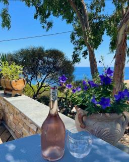 Residence VILLA MOROSI - Favone - Conca - 7