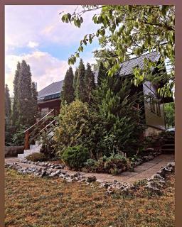 Relaxing Mountain House Poljana in Lika - 1