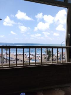 الاسكندرية - 7