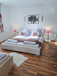 Appartement Fortuna - Saalfelden am Steinernen Meer - 1