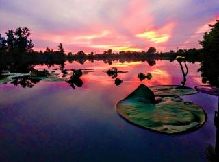 Cape Coral Wildlife Views-Heated Pool-Pet Friendly - Cape Coral - 6