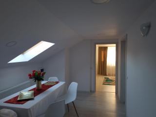 Izabella Guest House - Săcele - 9