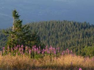 Chalet confortable 3 chambres, proche Gérardmer, avec garage, balcon et équipements bébé. - FR-1-589-195 - 1
