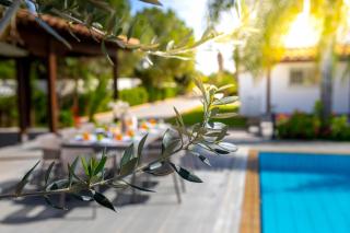 Cape Greco Palm Trees Villa - 1