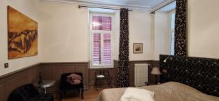 Chateau de Viviez - 1