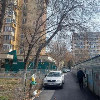 Studio Veteranilor - 1