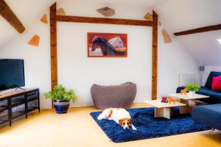 Besondere Ferienwohnung Spirit auf idyllischem Reiterhof nahe Burg Eltz - Münstermaifeld - 6