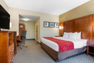 Comfort Suites Tallahassee Downtown - Tallahassee - 2