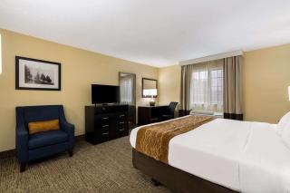 Comfort Inn Yankton SD - Yankton - 4