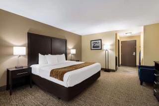 Comfort Inn Yankton SD - Yankton - 3