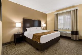 Comfort Inn Yankton SD - Yankton - 2