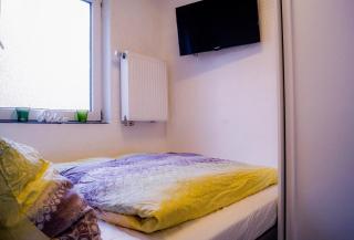 Moderne Ferienwohnung Black Beauty auf idyllischem Reiterhof nähe Burg Eltz - 1